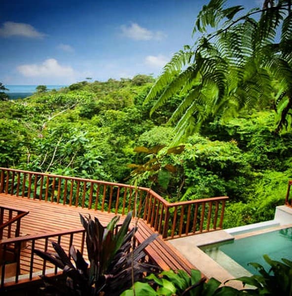 Ascend to Pura eco heaven